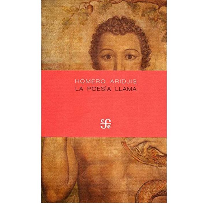 La poesía llama