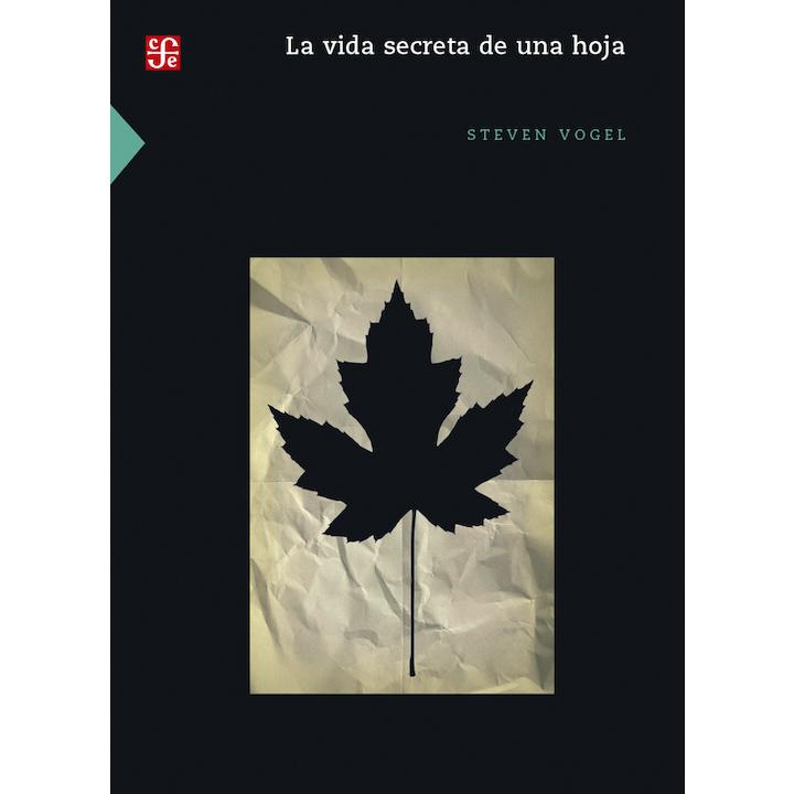 La vida secreta de una hoja