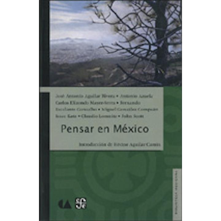 Pensar en México