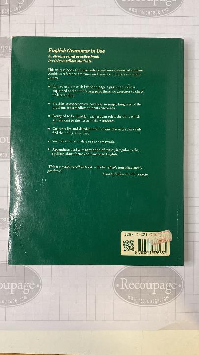 English grammar in use