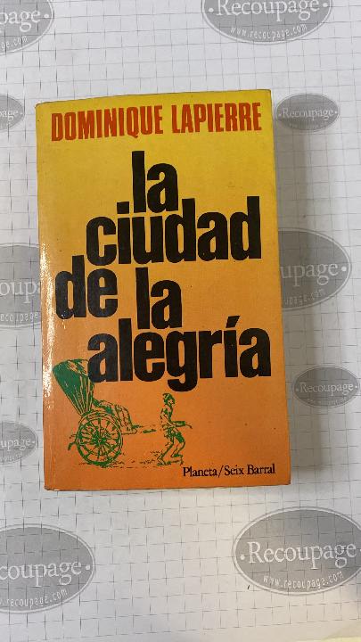 La ciudad de la alegría