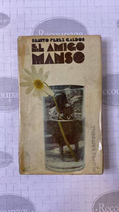 El amigo Manso